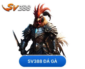 Ưu đãi và khuyến mãi 556win