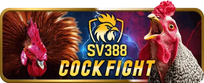Cam kết an toàn và tin cậy của 556win