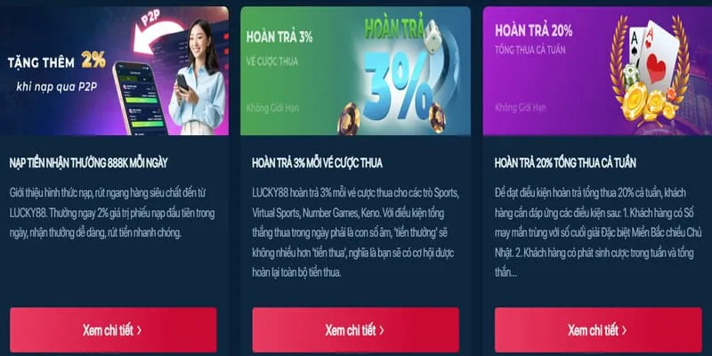 Hoàn trả hàng tuần 556win